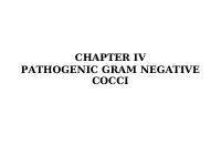 CHAPTER IV Pathogenic Gram negative cocci.pdf